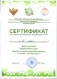 Всероссийский урок "Эколята - молодые защитники природы"