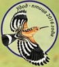 Международные Дни наблюдения птиц